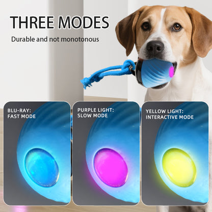 Smart Interactive Dog Toy