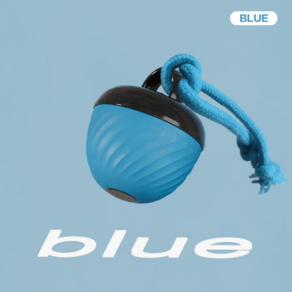 Smart Interactive Dog Toy