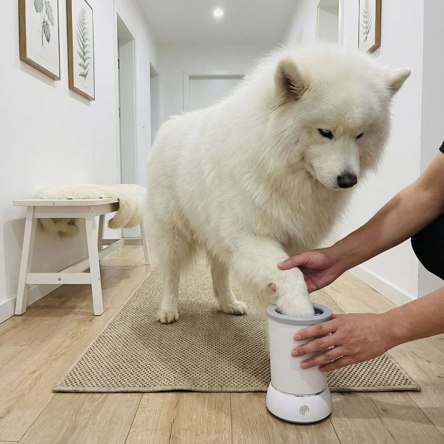 Automatic Paw Washer