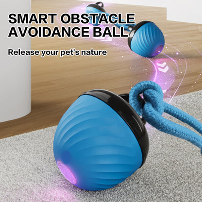 Smart Interactive Dog Toy