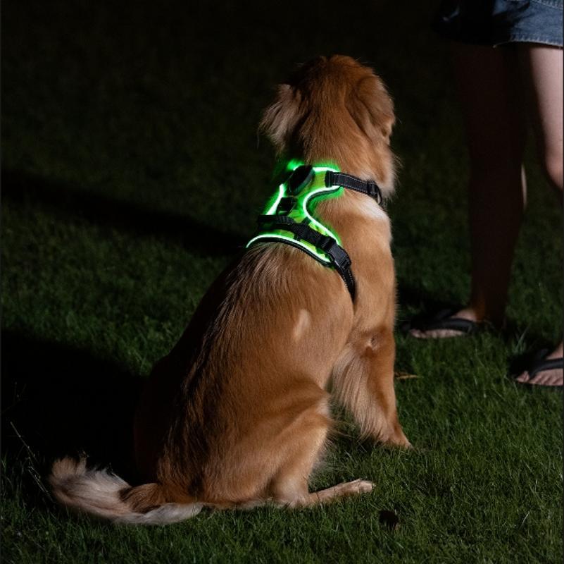 Luminous Reflective Dog Harness