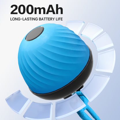 Smart Interactive Dog Toy